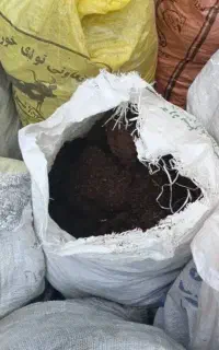 کود حیوانی