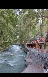 نیروی کار در گلخانه