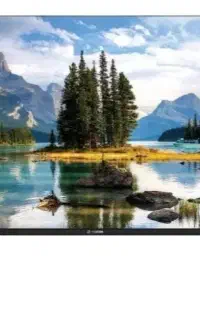 ال ای دی ۵۵ اینچ
