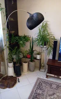 آباژور ایستاده منحنی
