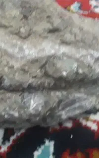 سخره اکواریم