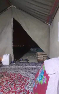 نیرو کاری برای زنبورستان