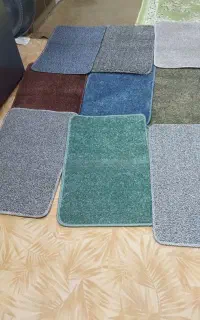 پادری نو