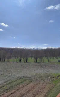 به یک جوان جهت کار در باغ