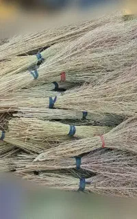 جاروشیرازی