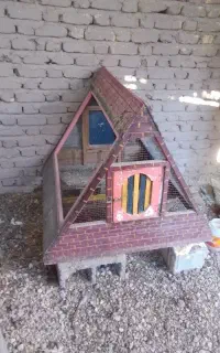 قفس پرنده