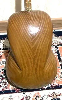 تار استاد کاوه
