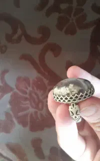 انگشتر شجر