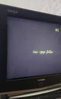 تلویزیون