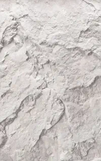 گچ کاری و سفید