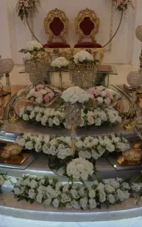 تالار پذیرایی نگین