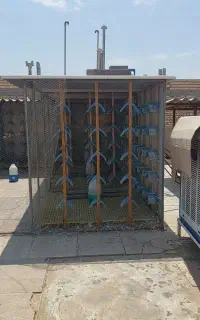 کفتر با قفس و وسایل