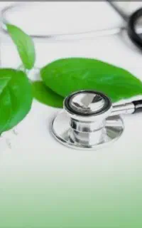 کار برای بانوان عزیز در منزل با گوشی