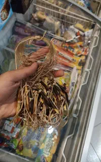 دام پاگیر کپگ