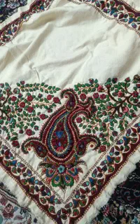 پته فروشی