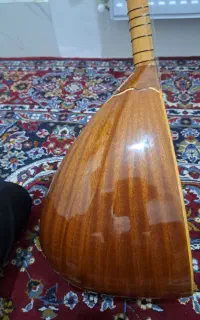 باغلاما مخصوص آموزش