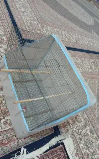 قفس و عروس هلندی
