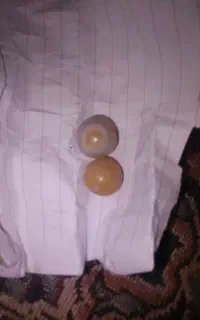 یک جفت مهره سلیمانی