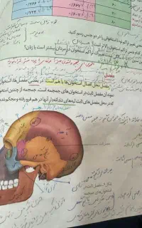 مشاوره تحصیلی تضمینی وتدریس تمام دروس+ انتخاب رشته