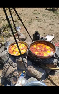 همسفر طبیعت گردی