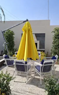 چتر باغی
