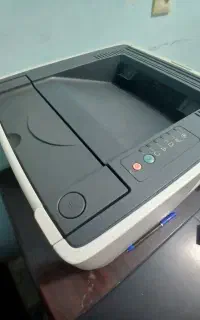 پرینتر اچ پی p2015d