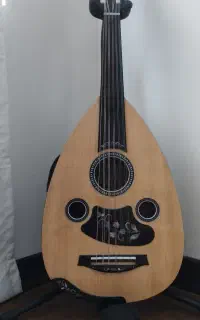 عود الکتروآگوستیک