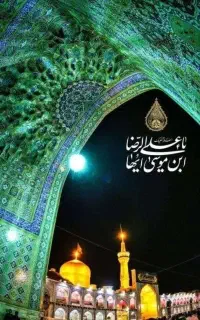 پابوس امام هشتم هفت روزه 5/999