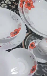 آرکوپال خارجی