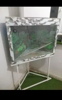 اکواریوم ژاپنی