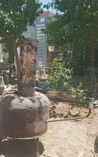 بخاری گزایلی