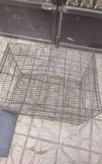 کبوتر قفس بزرگ