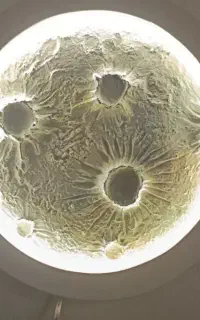 چراغ خواب