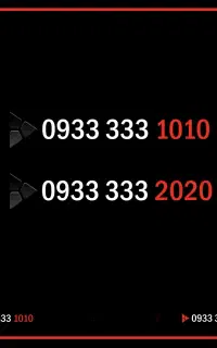 0933 333 2020