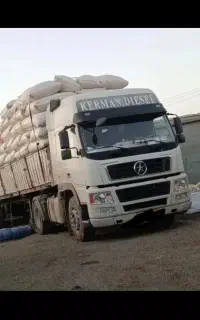کاه گندم