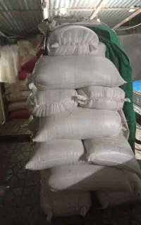 گندم آذر ۲