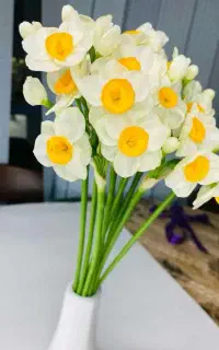 گل نرگس مصنوعی عمده