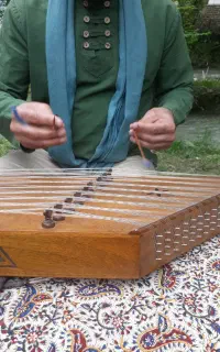 آموزش سنتور چند شعبه دراصفهان