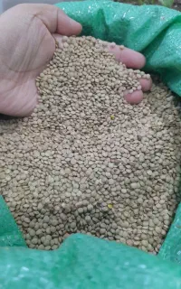 حبوبات  سیر همدان  ۱۰۰  درجه یک به شرط پ