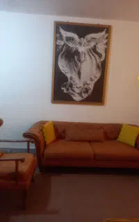 مبل چستر مارک ویستور امیدیه