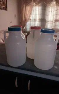 ظرف‌ترشی