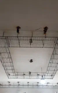 رابیسکاری و جوشکاری