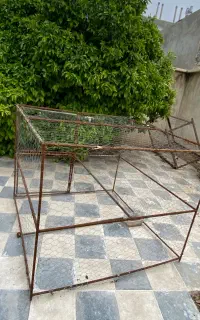 قفس پرنده گان