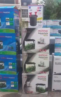 ماهیان زینتی لوازم پلنت قیمت کارخانه.آکواریوم