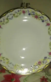 بشقاب میوه خوری