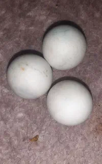 سنگ الماس