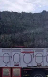 فروش یونجه