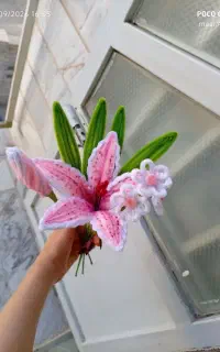 دسته گل لیلیوم صورتی
