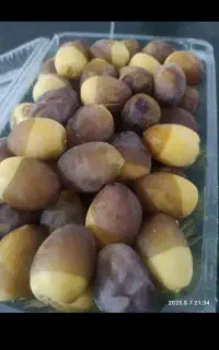 طب برهی
