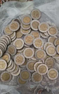 سکه و اسکناس های شاهی جمهوری خارجی